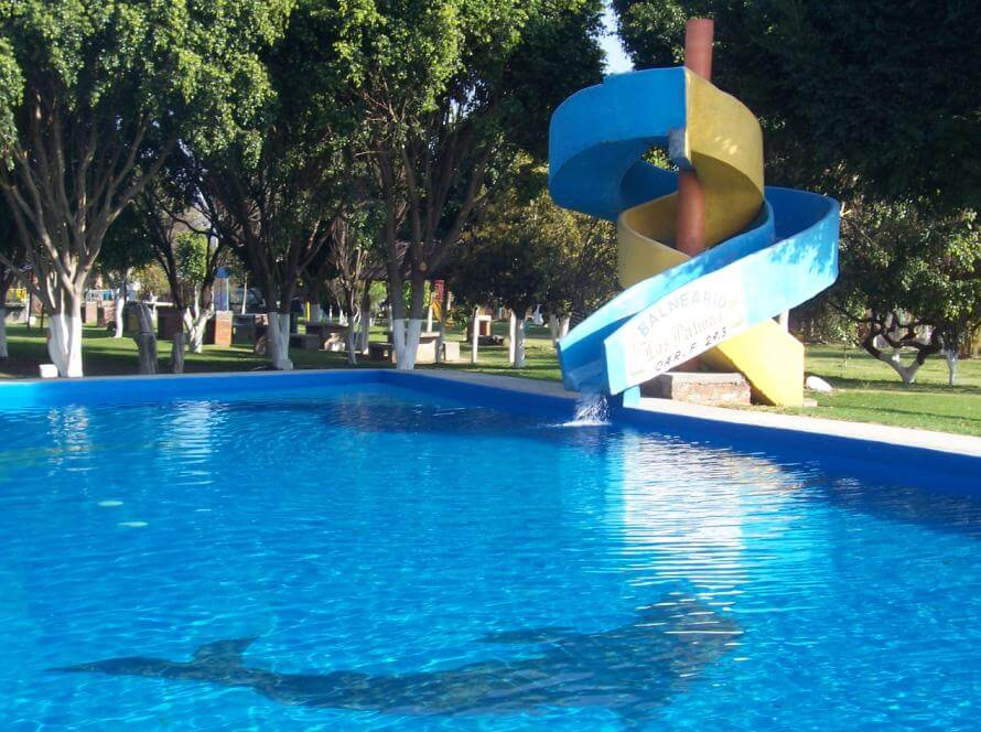 Fotografía de una alberca con silueta de delfín en el fondo y un pequeño tobogán con caída al agua.