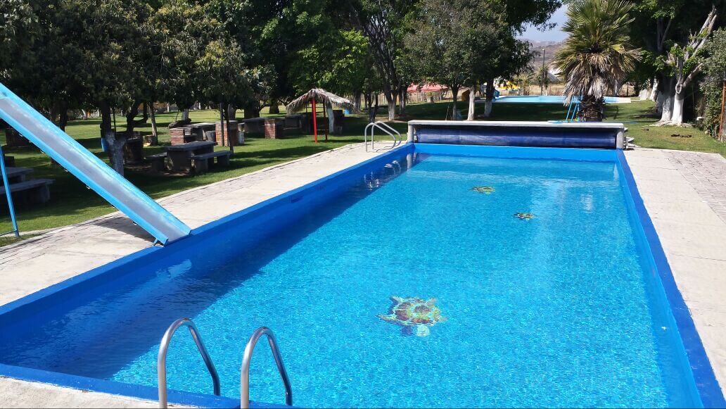 Fotografía de una alberca con dibujos de tortugas en el fondo y una resbaladilla con caída al agua.