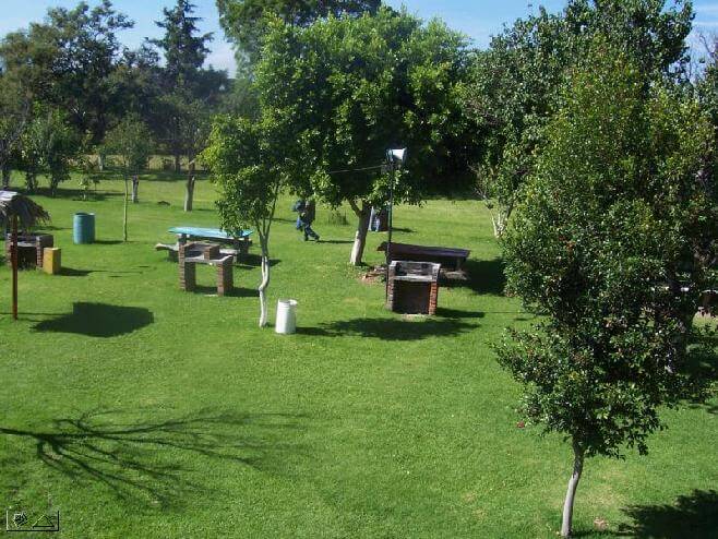 Fotografiá del area verde, hay estructuras de asadores, botes donde depositar la basura, un verde pasto cubre el suelo y hay arboles por todo el lugar.