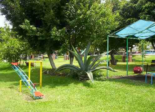 Fotografiá del area verde, hay un pequeño juego de sube y baja, una planta de maguey, una estructura que da sombra, el suelo se cubre de un verde pasto y hay muchos arboles que dan un agradable sombra.